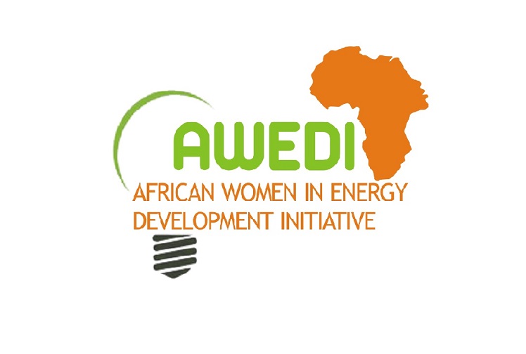 African Women in Energy Development Initiative African Women in Energy Development Initiative